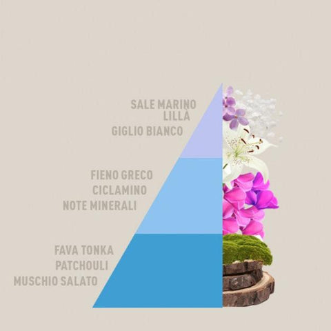 DIFFUSORE A BASTONCINI BREZZA MINRALE HOROMIA