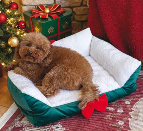 Christmas Pets