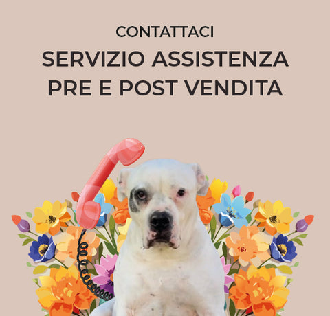 Non preoccuparti, non risponderà Titina