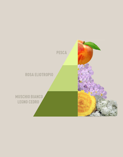 PROFUMA BUCATO FRAGRANZA MUSICA DEL SOLE HOROMIA