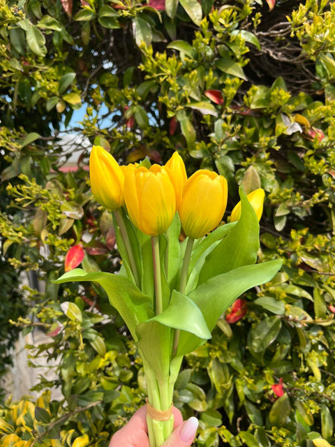 Mazzetto di tulipani