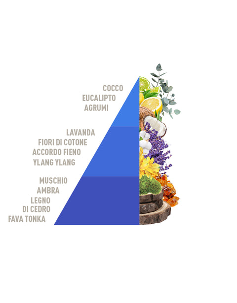 Profuma Bucato Cotone e Fiordaliso Horomia (Limited Edition Spring Summer 2026) - 250ml