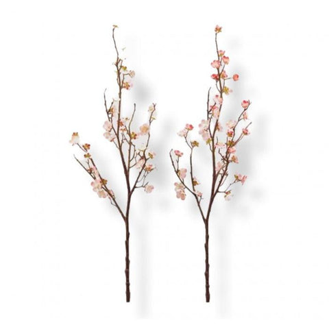 Fiori di pesco