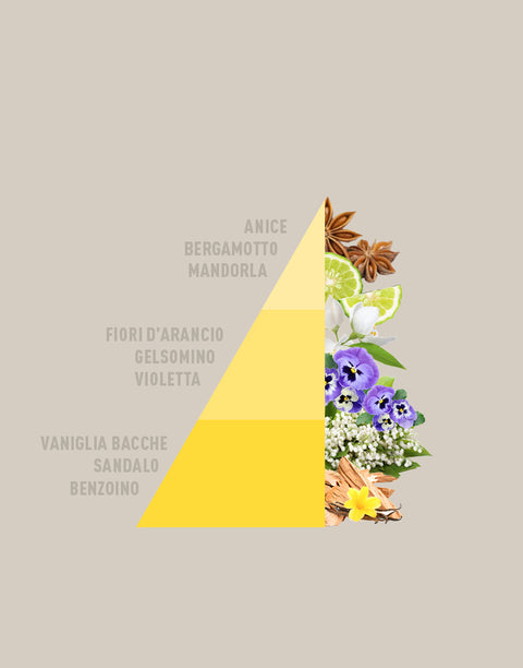 RICARICA DIFFUSORE VANIGLIA E BENZOINO HOROMIA
