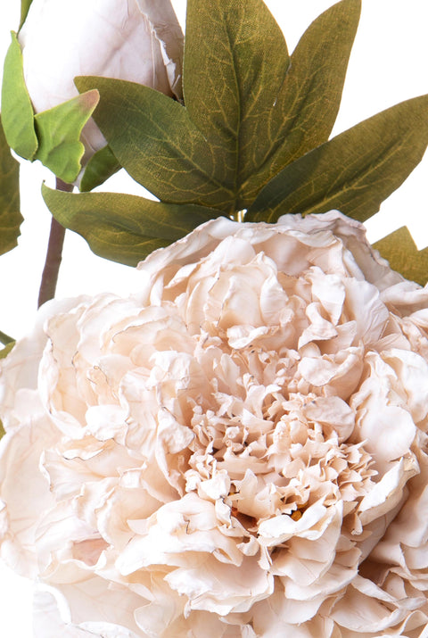 Peonia Artificiale Dry 50 cm – Fiore Finto Effetto Essiccato in Tessuto Sintetico