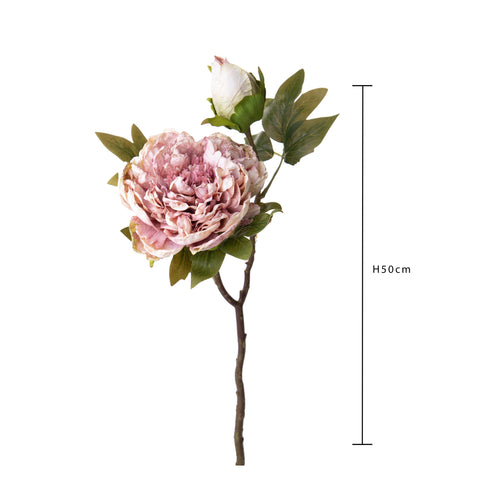 Peonia Artificiale Dry 50 cm – Fiore Finto Effetto Essiccato in Tessuto Sintetico