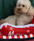 Christmas Pets