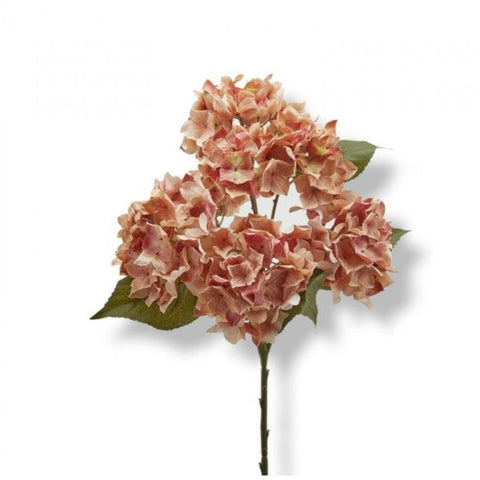 EDG soft pink hydrangeas