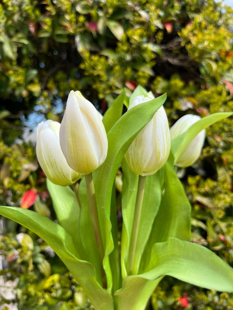 Mazzetto di tulipani