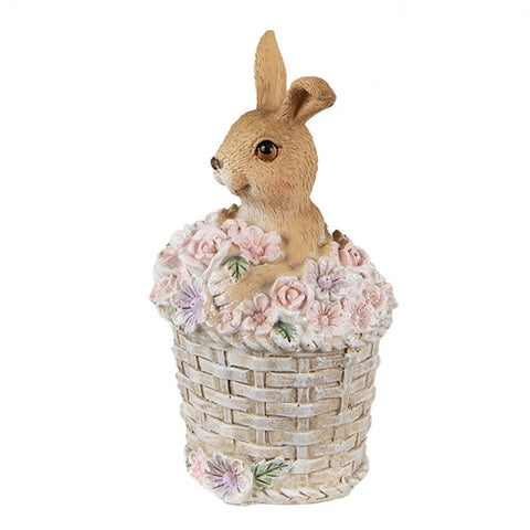 Bunny in basket