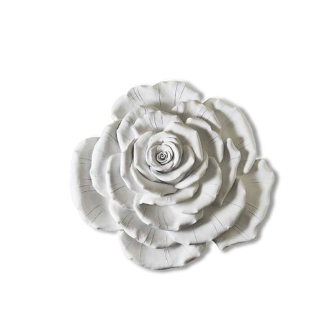 Wall rose