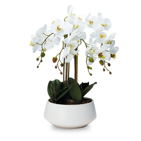 Pianta Orchidea Artificiale Bianca 4 Rami Real Touch con Vaso Decorativo 55 cm
