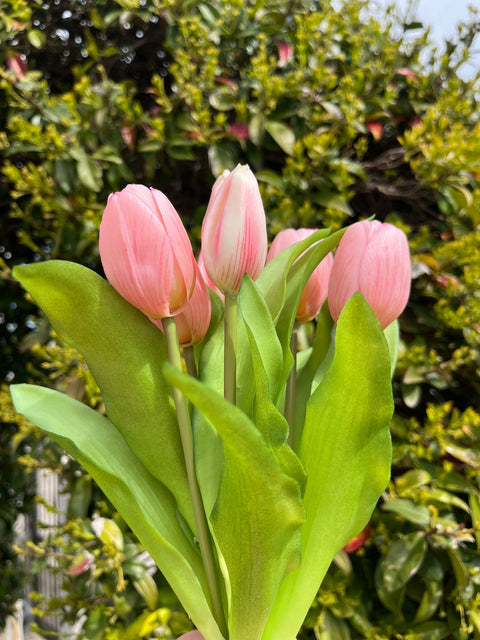 Mazzetto di tulipani