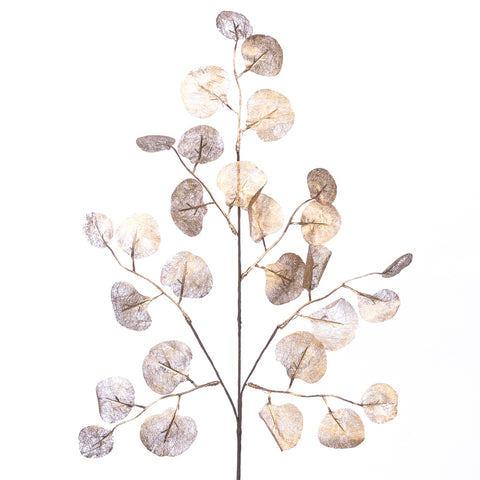 Ramo Decorativo di Lunaria Oro – Goodwill, 70cm