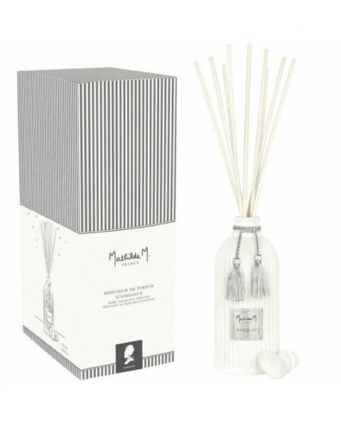 Perfume diffuser for environment