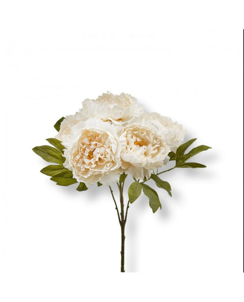 EDG white peonies