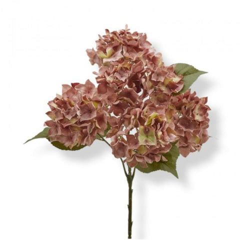 EDG soft pink hydrangeas