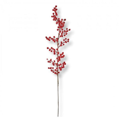 ENZO DE GASPARI RED BERRIES BRANCH