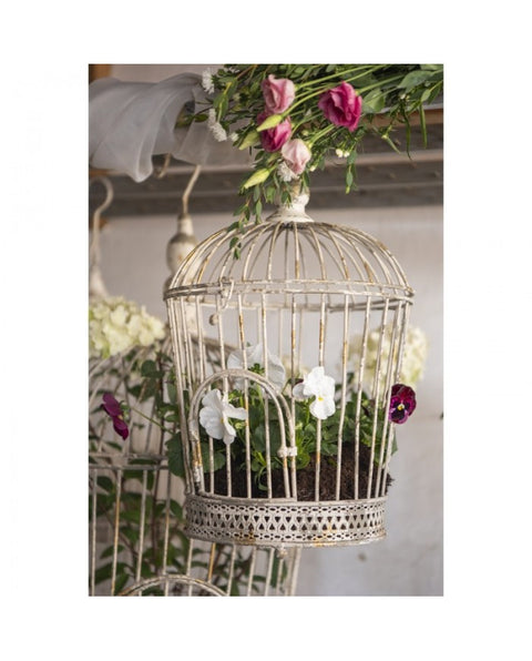 Bird cage