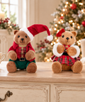 Orsetto e orsetta tartan Goodwill 21 cm ambientati