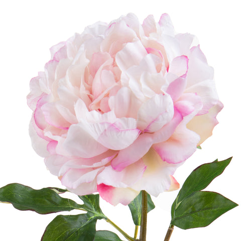 Peonia Artificiale Giant