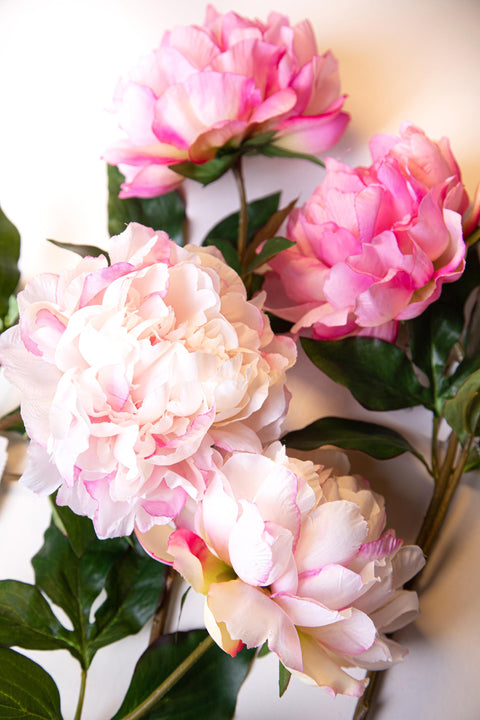 Peonia Artificiale Giant