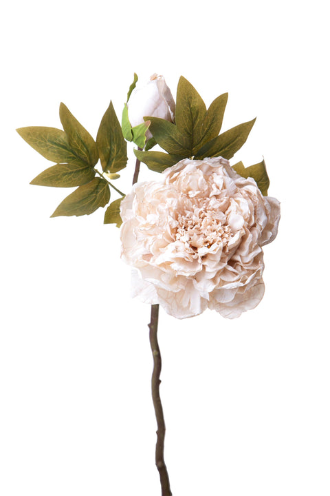 Peonia Artificiale Dry 50 cm – Fiore Finto Effetto Essiccato in Tessuto Sintetico