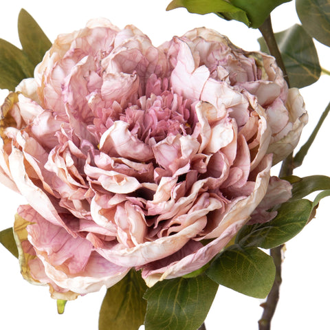 Peonia Artificiale Dry 50 cm – Fiore Finto Effetto Essiccato in Tessuto Sintetico